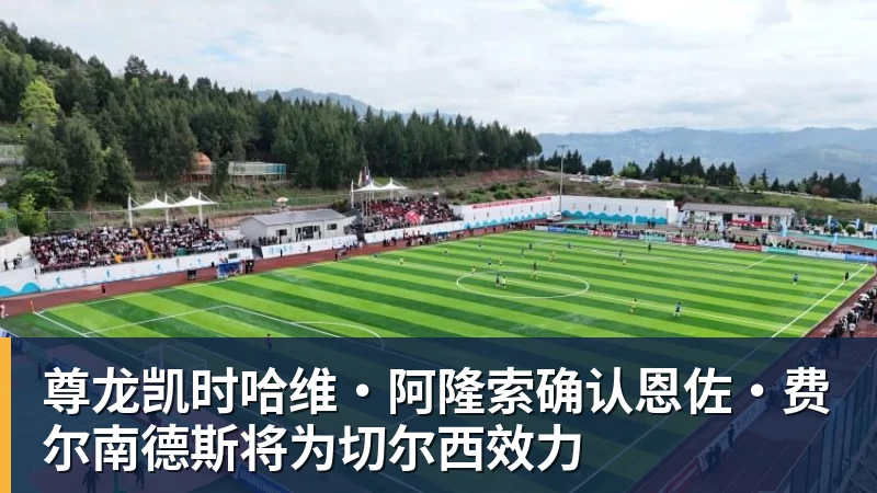 尊龙凯时哈维·阿隆索确认恩佐·费尔南德斯将为切尔西效力