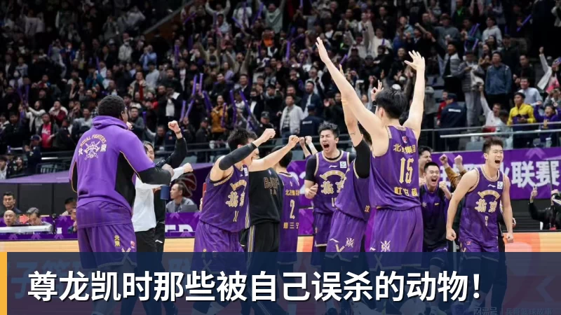 尊龙凯时那些被自己误杀的动物！