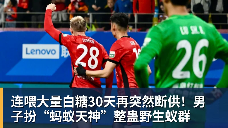 连喂大量白糖30天再突然断供！男子扮“蚂蚁天神”整蛊野生蚁群